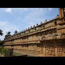 Nandis auf der Umfassungsmauer